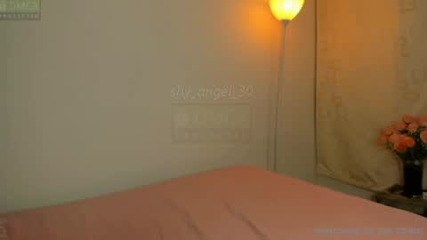 Snapshot of shy_angel_30 chatting on July 17, 5:07 pm Angel online show from July 17, 5:07 pm