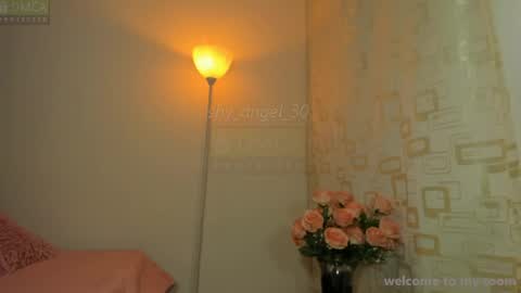 Snapshot of shy_angel_30 chatting on August 4, 6:21 pm Angel online show from August 4, 6:21 pm