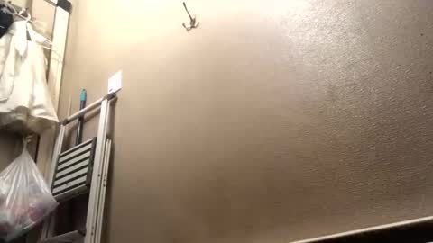 Snapshot of shyguy2021420 chatting on February 22, 10:47 am shyguy2021420 online show from February 22, 10:47 am