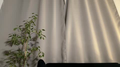 Amelia online show from February 3, 7:10 pm