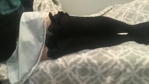 Snapshot of shysissy12 chatting on September 28, 1:05 pm shysissy12 online show from September 28, 1:05 pm