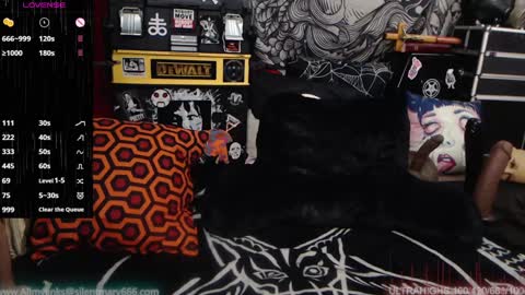 Allmylinkssilentmary666 online show from December 28, 7:43 pm