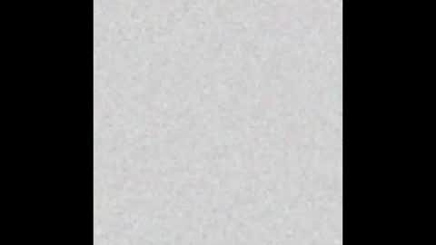 Willow online show from October 6, 7:17 am