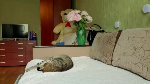 Snapshot of silviasexyy chatting on May 30, 12:24 pm miss Anna online show from May 30, 12:24 pm
