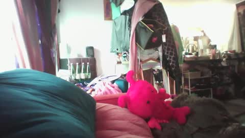 Siofra online show from February 13, 7:10 pm