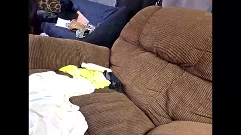 Snapshot of sissyboi124995 chatting on April 11, 7:51 pm sissyboi124995 online show from April 11, 7:51 pm