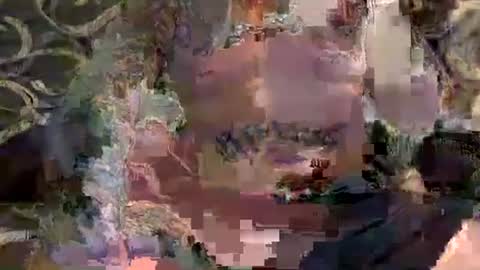 Steve   Jane online show from February 21, 3:07 am