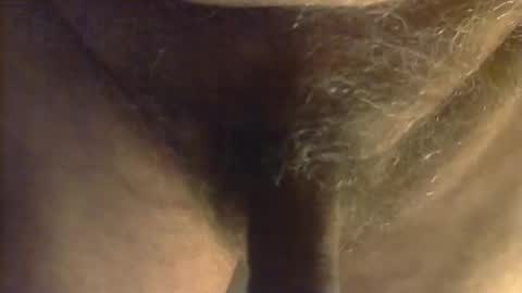 Snapshot of sjim368 chatting on October 31, 12:28 pm sjim368 online show from October 31, 12:28 pm