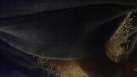 Snapshot of sjim368 chatting on December 2, 1:17 pm sjim368 online show from December 2, 1:17 pm