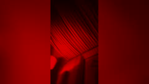 skindiana_bones online show from February 8, 10:40 am