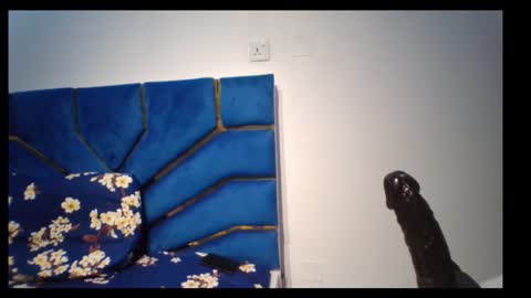 Snapshot of skinnyasssexyboobs chatting on November 5, 4:29 pm skinnyasssexyboobs online show from November 5, 4:29 pm