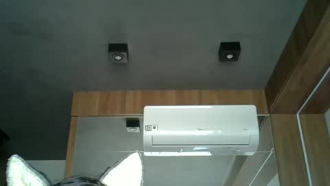 skinnykittencam online show from October 3, 11:51 am