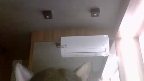 skinnykittencam online show from February 23, 11:29 am