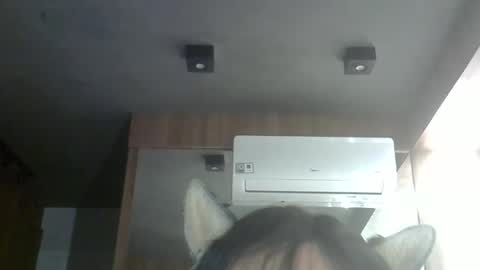 skinnykittencam online show from February 28, 3:29 am