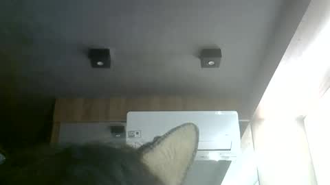 skinnykittencam online show from June 6, 9:30 pm