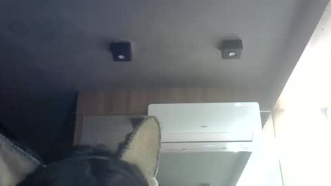 skinnykittencam online show from June 8, 4:51 pm