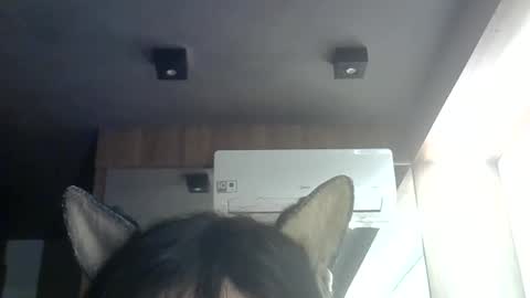 skinnykittencam online show from June 9, 9:32 am