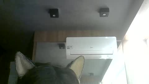 skinnykittencam online show from June 11, 8:07 pm