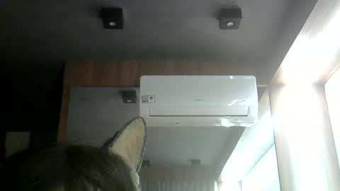 skinnykittencam online show from June 12, 11:35 pm