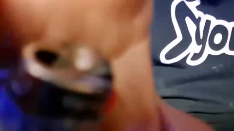 skunk8p online show from January 11, 6:29 am