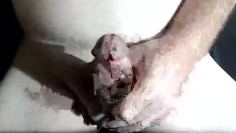 Z online show from February 4, 8:47 pm