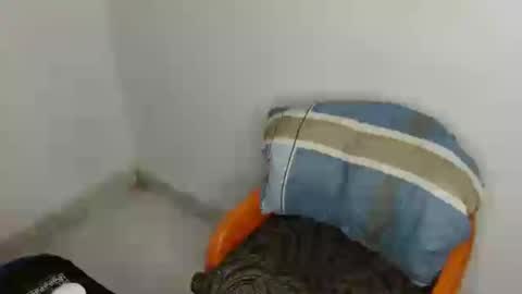 Snapshot of slim_wetpussyy chatting on July 19, 7:28 pm Bella online show from July 19, 7:28 pm