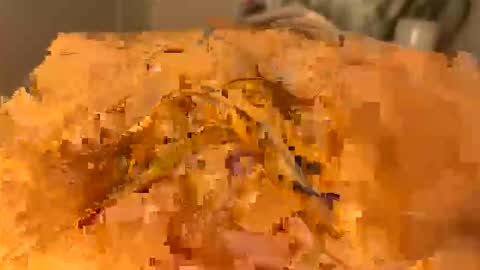 Snapshot of slipmytip chatting on December 5, 11:08 am slipmytip online show from December 5, 11:08 am