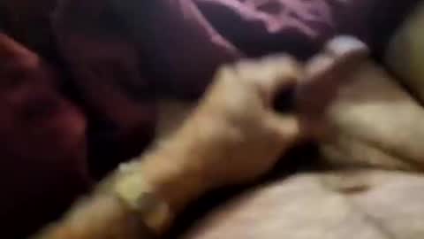 slitlicke69696969 online show from September 21, 10:28 am