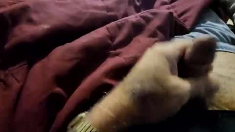 slitlicke69696969 online show from February 3, 7:19 pm