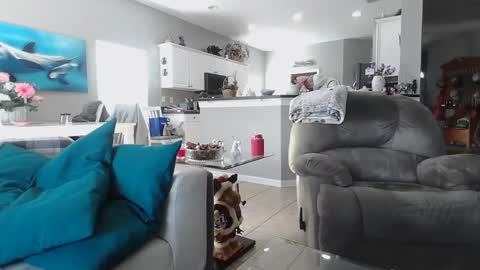 Daddy online show from December 15, 7:31 pm