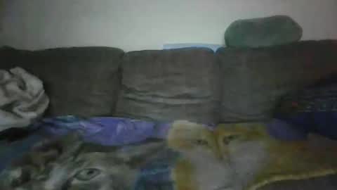 Snapshot of smaug6606 chatting on November 24, 6:46 am smaug6606 online show from November 24, 6:46 am