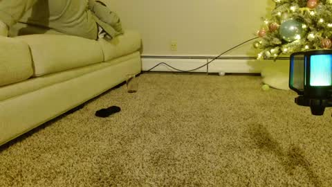 Smexy online show from December 9, 2:24 am