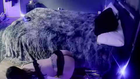 love bug online show from January 8, 8:16 am