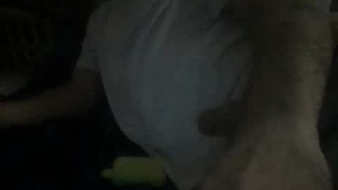 smokenfuk23 online show from November 30, 1:53 am