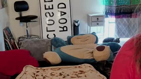 Big Dawg online show from October 12, 8:52 pm