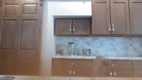 Bambi--Vodka online show from January 30, 7:48 pm