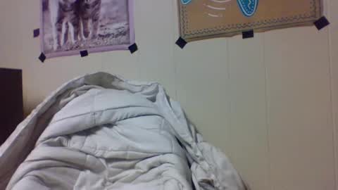 Snapshot of snake1eye67959 chatting on December 24, 12:11 am snake1eye67959 online show from December 24, 12:11 am