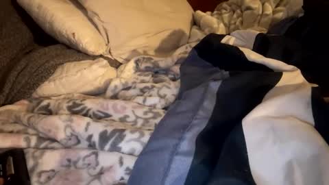 Lets play n party online show from January 19, 11:14 am