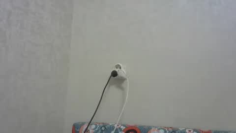 Arthur online show from December 19, 5:09 pm