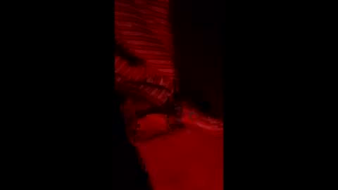 Snapshot of snqhephncxpu chatting on March 11, 5:02 am snqhephncxpu online show from March 11, 5:02 am