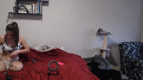 Sofi online show from December 12, 11:29 am