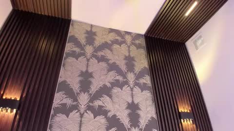 SOFIA online show from February 6, 12:48 am