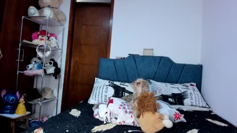 Snapshot of sofia86379 chatting on March 17, 7:50 pm sofia86379 online show from March 17, 7:50 pm