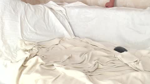 Snapshot of sofia_here chatting on January 8, 8:06 am Sofia here online show from January 8, 8:06 am