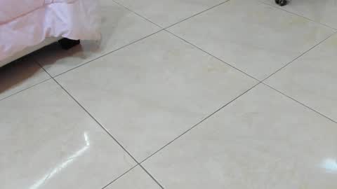 sofiaabigboobs online show from November 25, 11:54 am