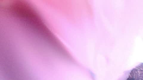 Sofiamillerrs online show from January 23, 9:18 pm