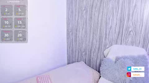 SOFIA online show from November 13, 11:47 pm