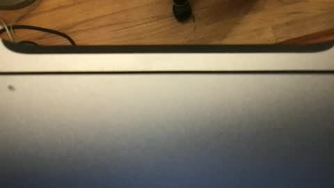 soflastiffyboy69 online show from November 13, 8:19 pm