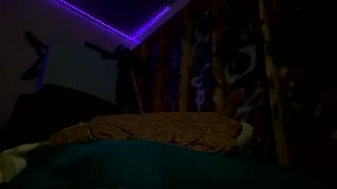 sohan730903 online show from February 15, 7:51 am