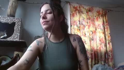 Sofia online show from November 9, 2:48 pm